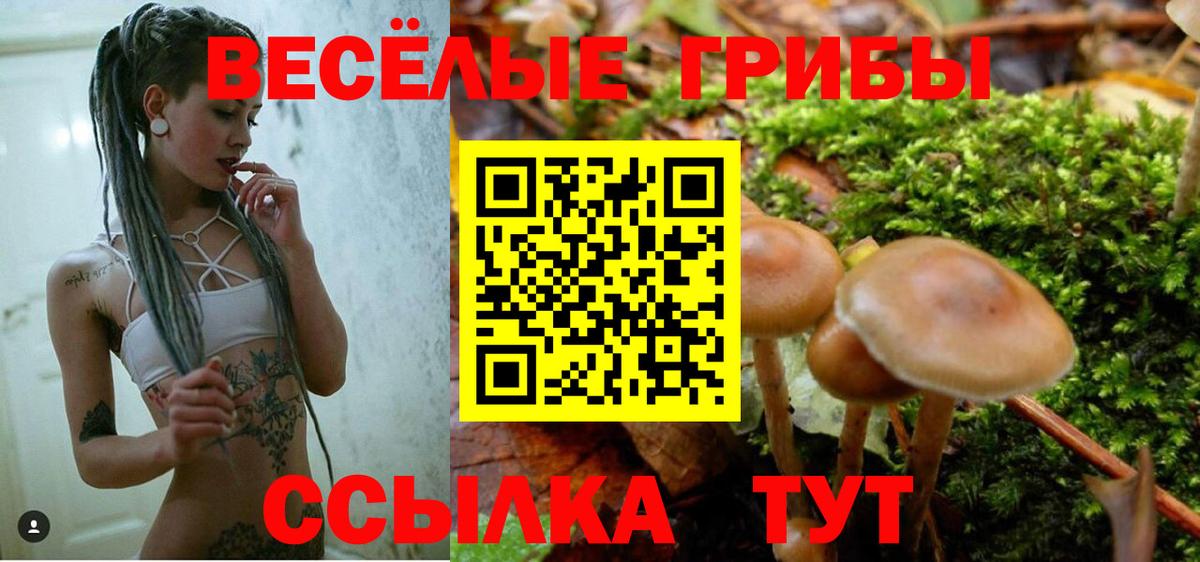 Галлюциногенные грибы мухоморы  Вход с VPN  Саратов 